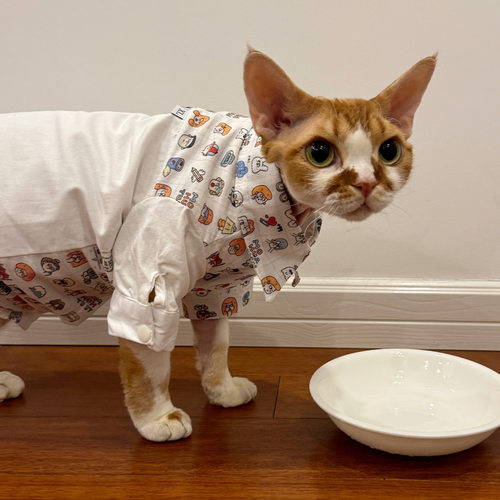 Pico 德文猫衣服卡通拼色衬衫无毛猫斯芬克斯衣服可爱白色人人头