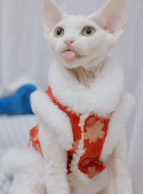 Pico新年红色中式棉袄德文衣服无毛猫斯芬克斯衣服春节白色兔毛领