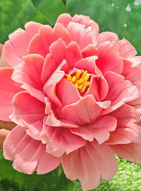 陶瓷花摆件牡丹花氛围花器装饰品