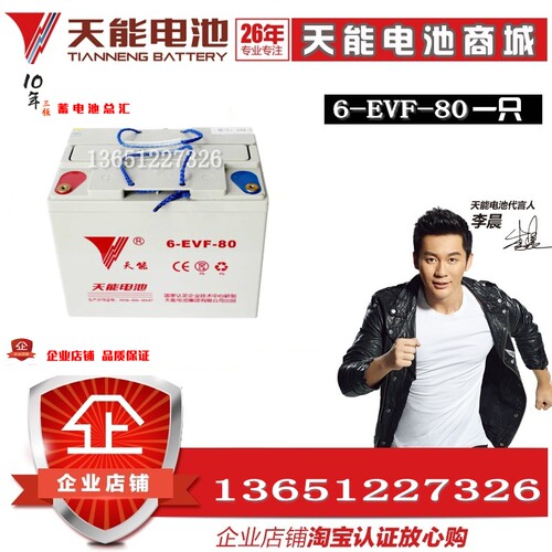 天能四轮车铅酸蓄电池