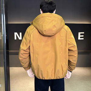 模特   标50绒冬季男士连帽白鸭绒羽绒服  812 P245 黑色图片