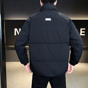 模特  2025冬季男士立领标50绒白鸭绒羽绒服 5826 P190 卡其图片