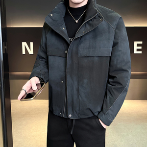 模特  2025冬季男士立领新标90白鸭绒羽绒服  91875 P310  米白图片