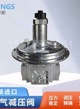 DUNGS冬斯FRS520燃气减压阀FRS515稳压阀FRS5065/FRS5080调压阀