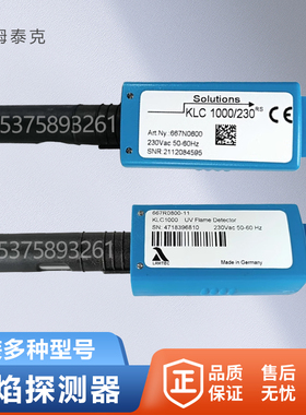 BST火焰探测器230RS燃烧机KLC1000-01RS光眼2002 KLC20/230电眼