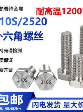 310S不锈钢耐高温外六角螺丝2520
