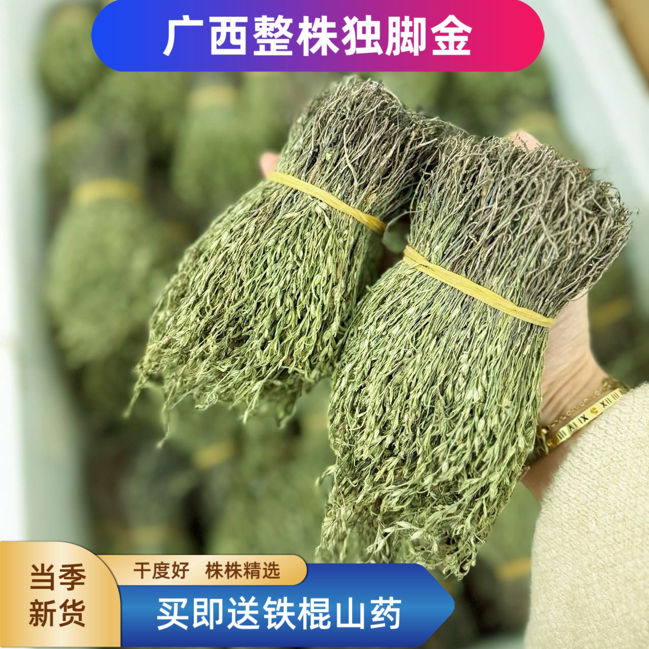 广西整株独脚金干货小孩成长常备汤料儿童汤胃口好成长好煲汤蒸肉