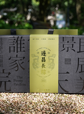 丽水山耕遂昌陈岳食品长粽礼盒非遗传承美食端午好礼梅干菜肉粽子