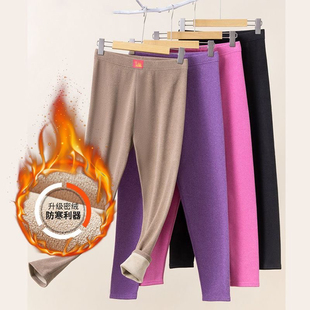 保暖裤 打底棉裤 女士加绒加厚贴身内穿秋裤 弹力修身 高腰大码 秋冬季