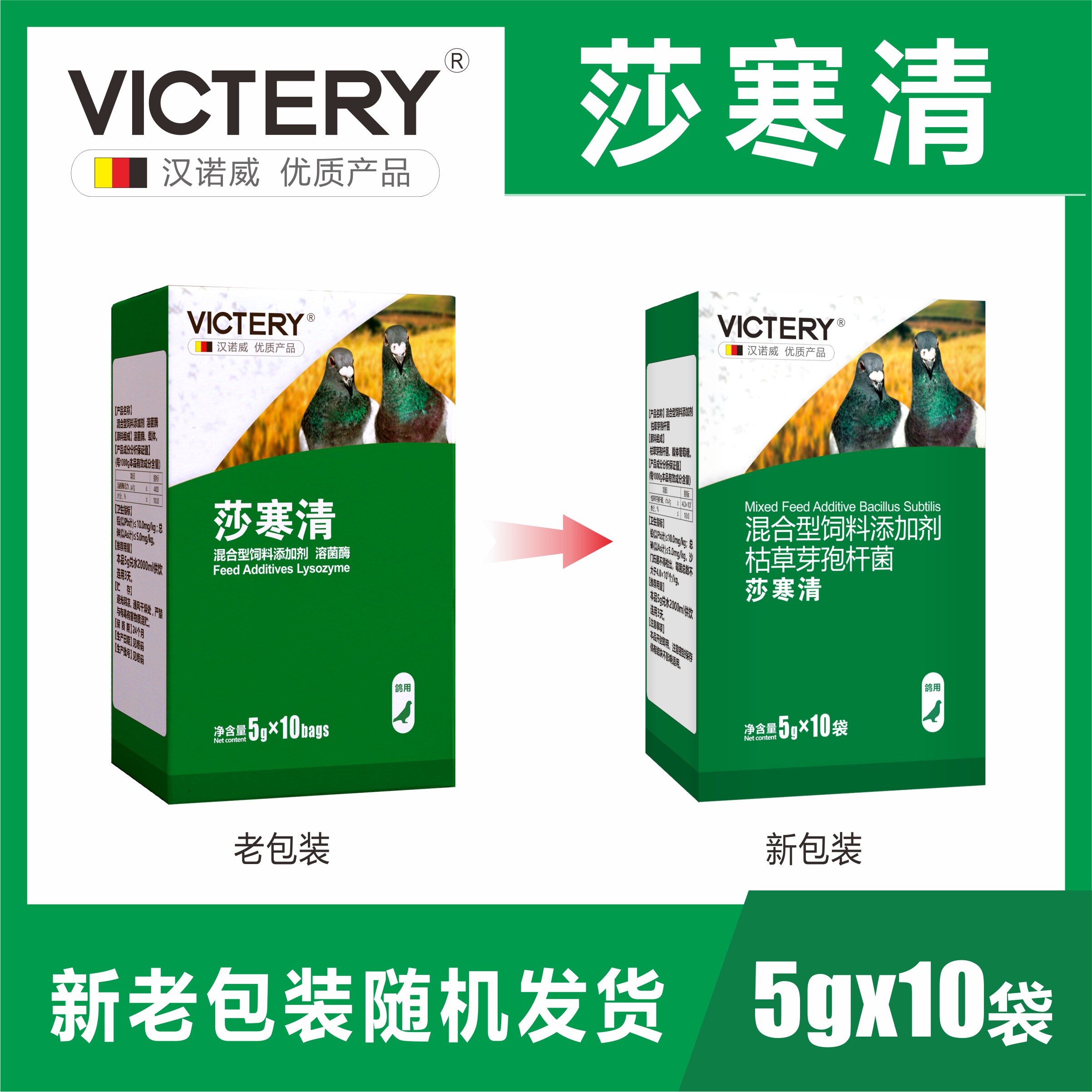 汉诺威莎寒清鸽子鹦鹉沙门氏菌大肠杆菌伤寒副伤寒白水绿便