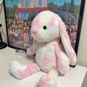 彩色垂耳兔公仔可爱小兔子毛绒玩具安抚玩偶床上娃娃女孩生日礼物