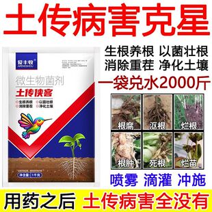 正品土传病菌清专治土壤杀菌消毒粉快速抑菌三合一瓜果蔬菜通用