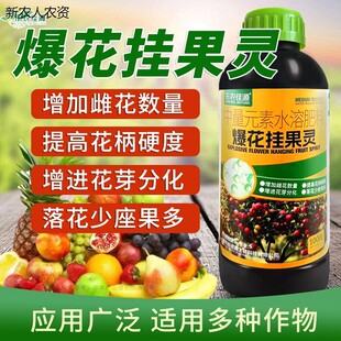 爆花挂果灵1号通用型强力坐果灵正品提高座果率一整套保花保果