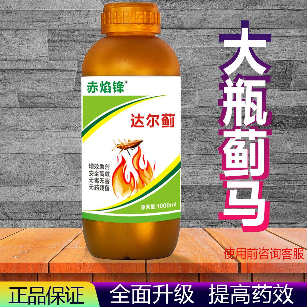 赤焰峰豆角抗性蓟马药黑蓟马药增效蓟马药助剂速溶生物制剂蔬菜
