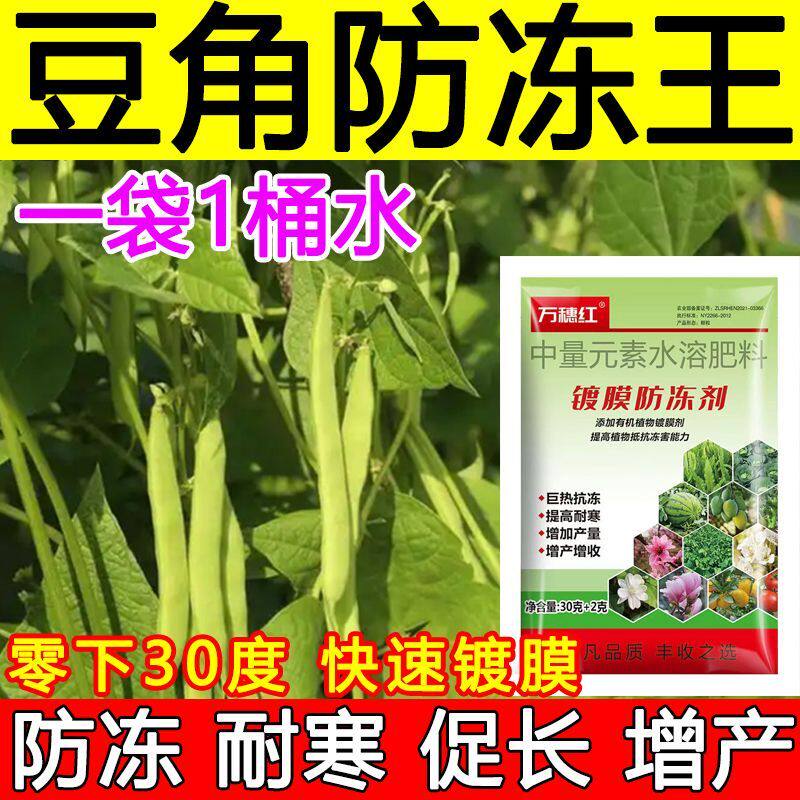 豆角防冻剂叶面肥豆角防冻液肥料增产抗冻耐寒蔬菜果树防冻增产肥