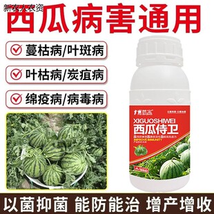 西瓜专用药甜瓜西瓜杀菌剂西瓜死苗烂根病烂果病叶枯病炭疽病专用
