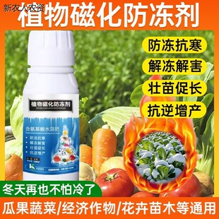 植物防冻剂防寒果树蔬菜白菜抗冻剂防冻液氨基酸叶面肥正品