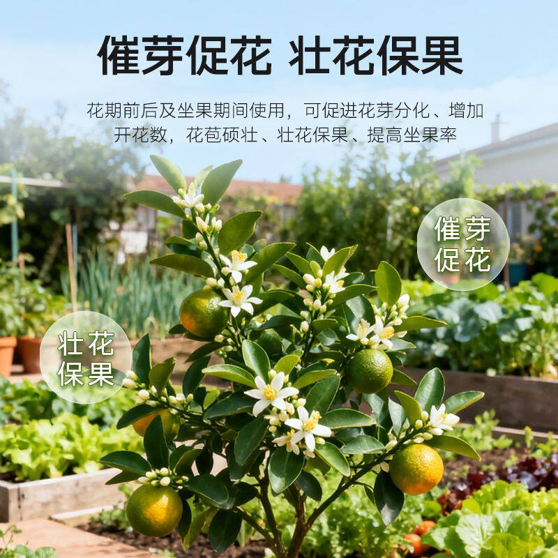 杜高磷钙金液大量元素水溶肥高磷肥钙肥叶面肥促根壮花冲施肥