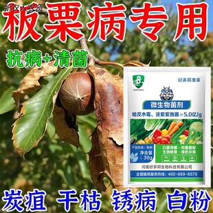 板栗病专用白粉病炭疽病果腐病干枯病霉烂病病毒害强效喷立净