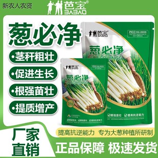 芭宝葱必净提高免疫大葱专用改善品质调节补充营养微生物肥料