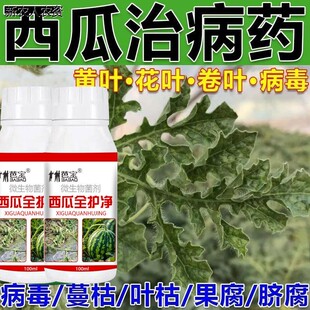 西瓜专用药甜瓜西瓜杀菌剂西瓜死苗烂根病烂果病叶枯病炭疽病专用