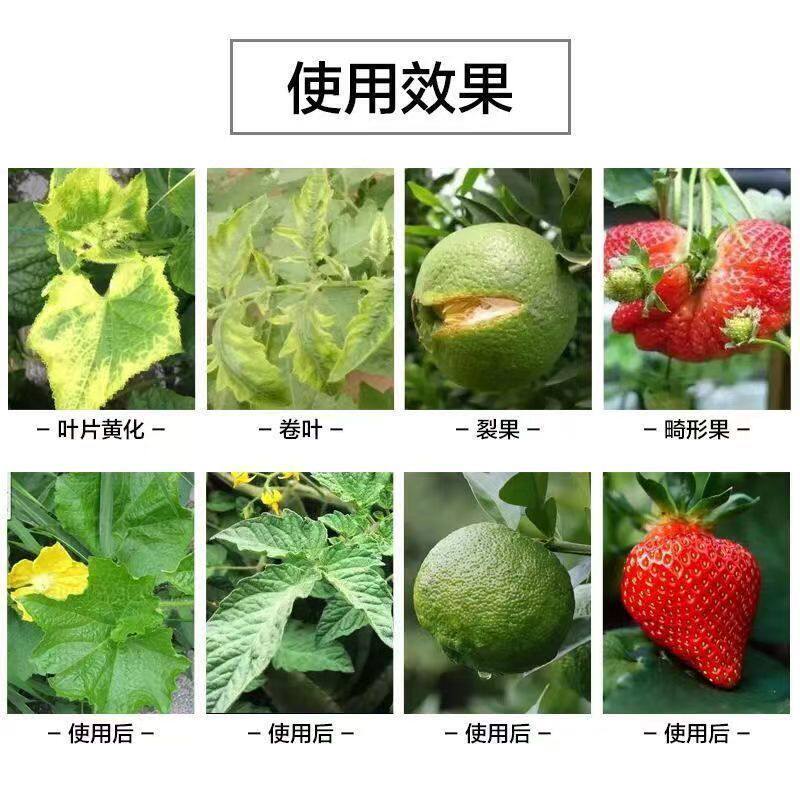 硼肥油菜叶面肥微量元素硼叶面肥硼砂肥保花保果硼水溶肥颗粒硼肥