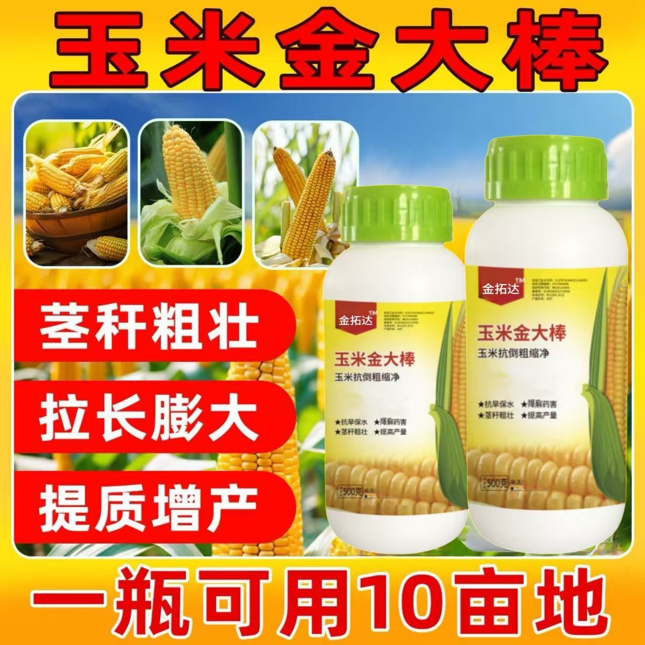 加锌玉米专用玉米一号金大棒促根壮苗早熟强株耐旱涝抗倒伏叶面肥