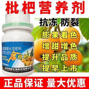 枇杷膨大增甜剂枇杷叶面肥防落素果树营养膨大防裂果专用增产肥