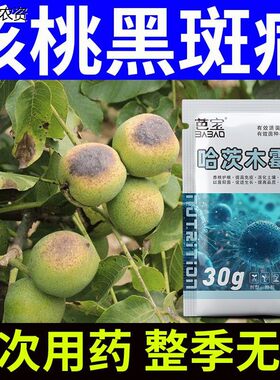 核桃树专用药黑皮病褐斑