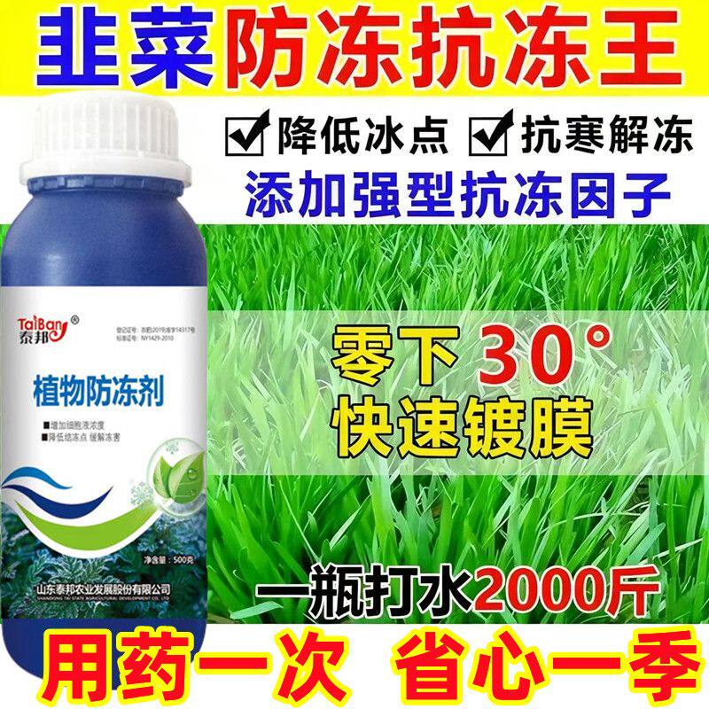 韭菜防冻剂叶面肥韭菜防冻液肥料增产抗冻耐寒蔬菜果树防冻增产肥