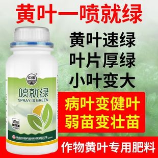 黄叶一喷绿花叶草坪姜蒜绿萝韭菜干尖枯黄叶变绿抗病叶绿农用绿叶