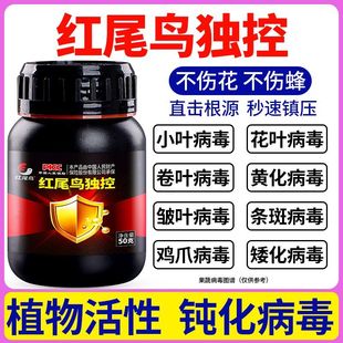 红尾鸟病毒康辣椒西红柿黄瓜病毒花叶小叶卷叶黄叶病毒农用病毒康