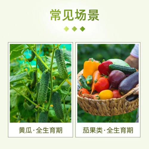德国巴斯夫望秋叶面肥含