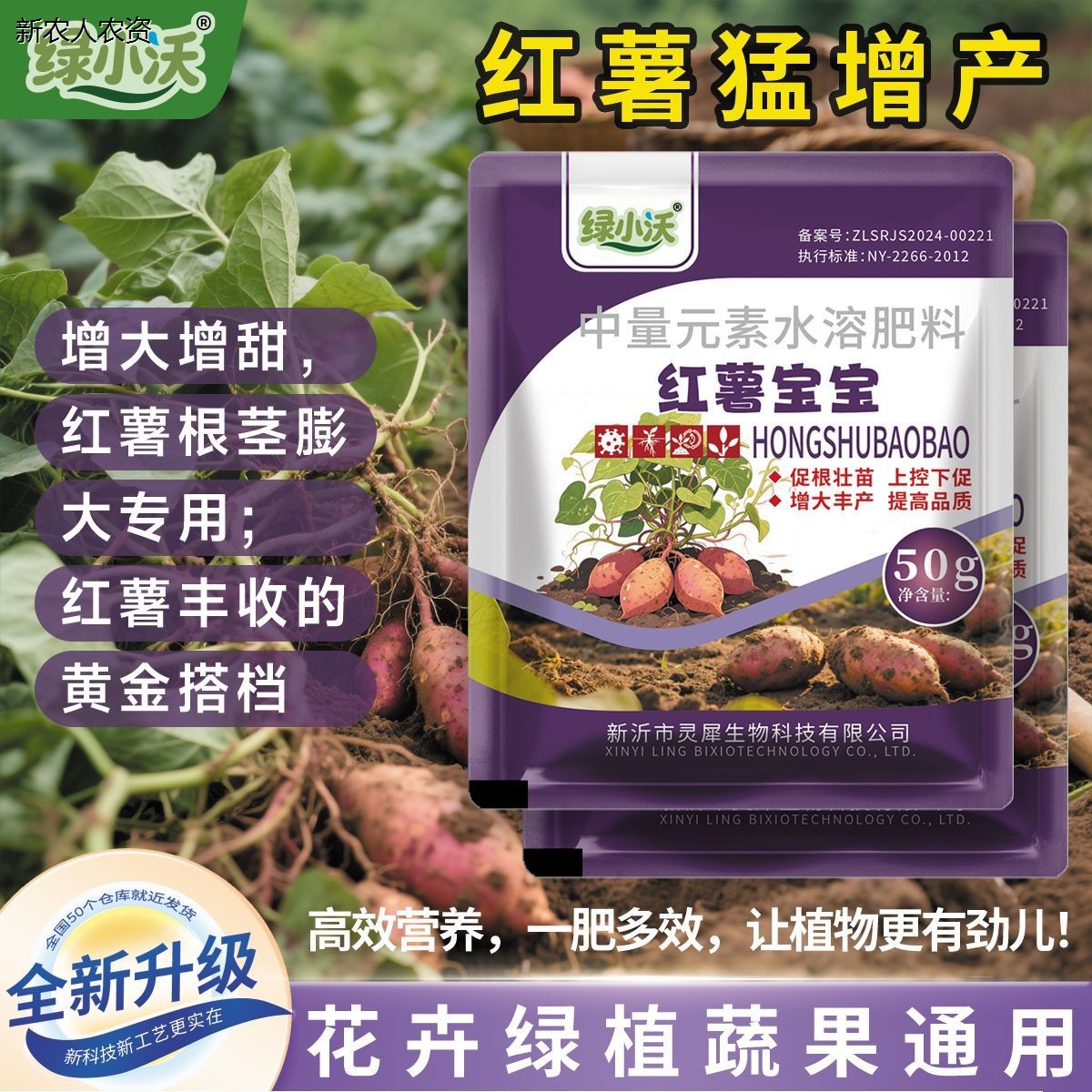 正品红薯宝宝番快速膨大