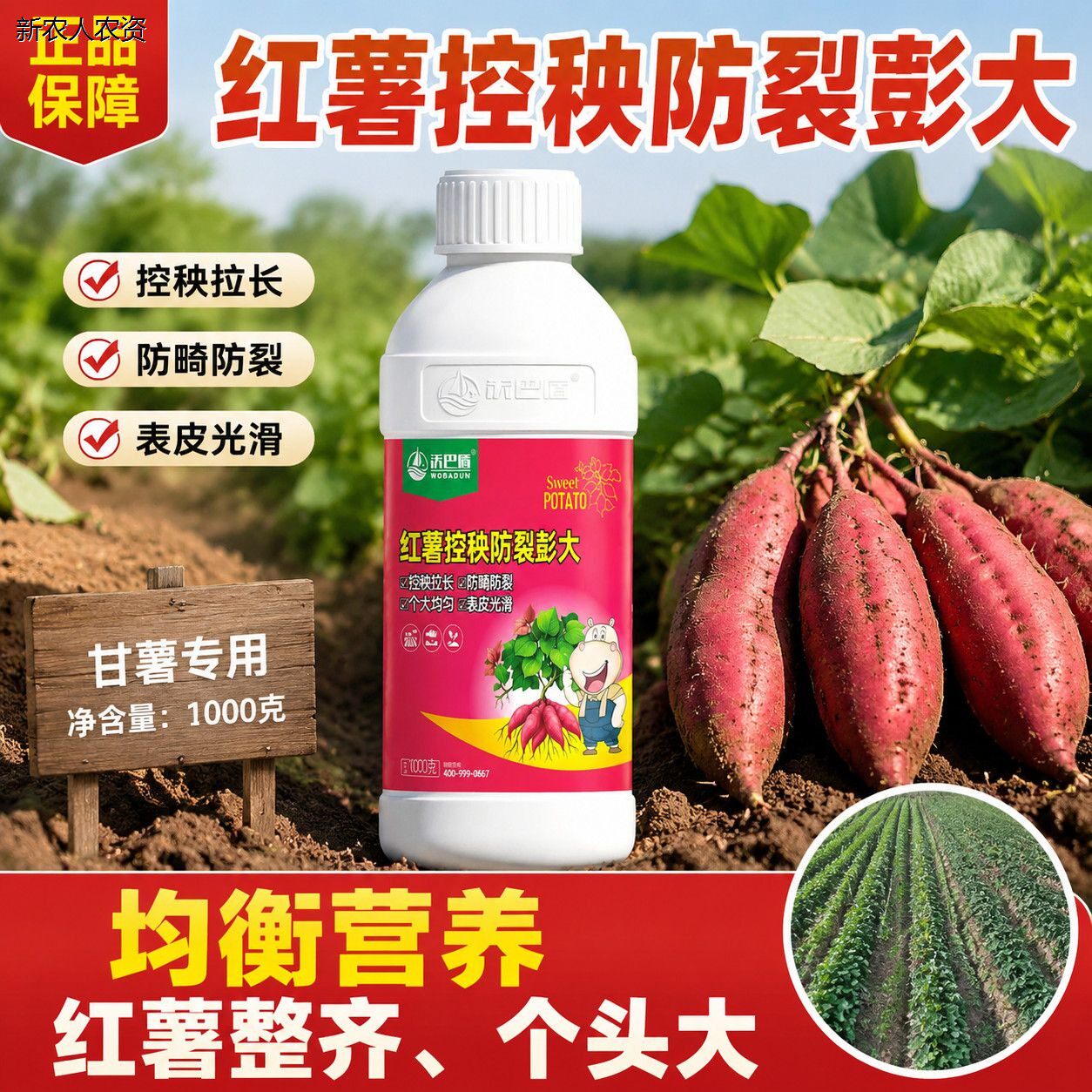 红薯控旺增产控上促下防