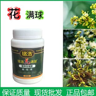 铭浩花满球催花素促进生殖生长促进花芽分化果树荔枝龙眼专用正品