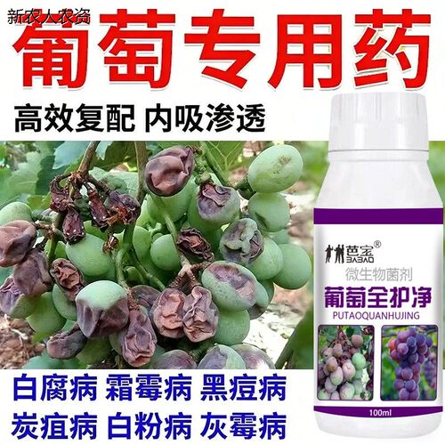 葡萄病专用白腐病炭疽粉