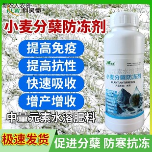 小麦分蘖防冻剂促根壮苗防倒春寒抗倒伏增产氨基酸水溶肥料天