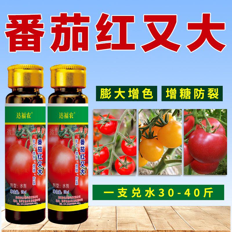 西红柿番茄洋柿子膨大素特大拉长剂催红着色防裂微量元素叶面肥料