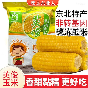英俊速冻糯玉米 东北特产商用黄金勾冷冻油豆角黄金沟甜糯苞米棒