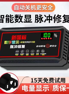数显自动断电电动车电瓶车充电器48V60V72V20AH两轮三轮电车通用