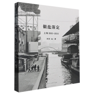 银盐落定:上海2001-2010