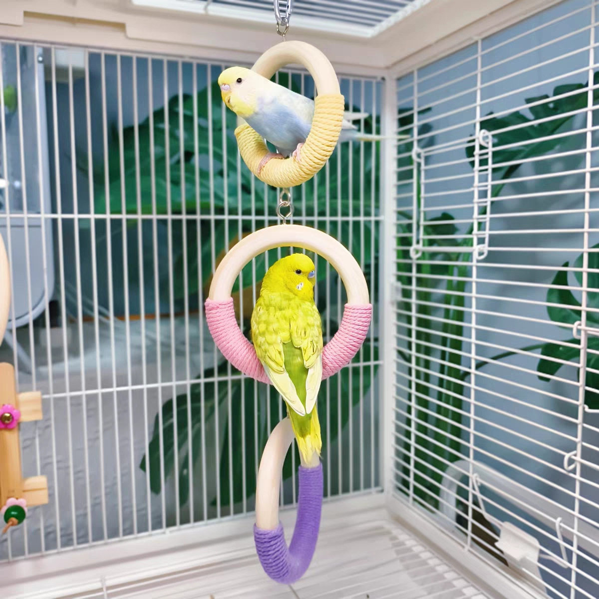 鹦鹉吊环玩具秋千攀爬玩具攀爬啃咬解闷玩具秋千挂环套环鸟笼装饰,宠物/宠物食品及用品,鸟玩具,淘宝优惠券,粉丝福利购,淘宝优惠卷