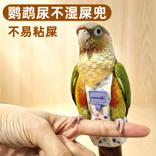 【按扣款】鹦鹉尿不湿可挂放飞绳