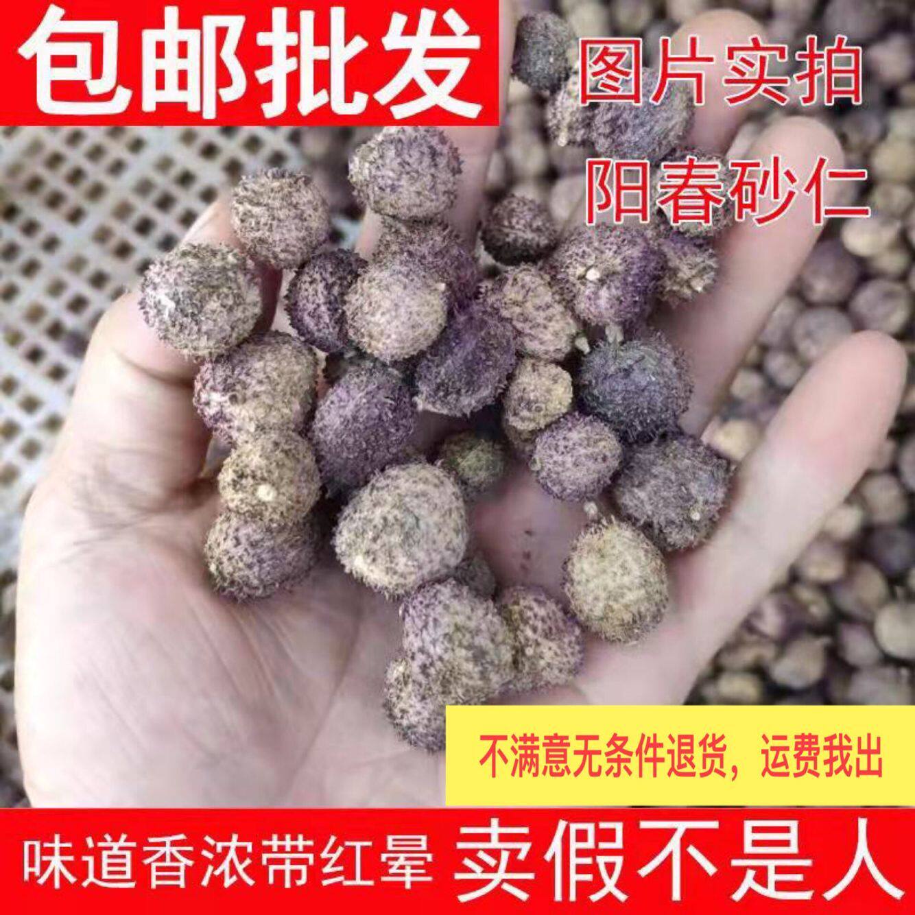 春砂仁250g中药砂仁正宗阳春砂仁泡酒泡茶泡蜂蜜养胃孕妇小孩煲汤