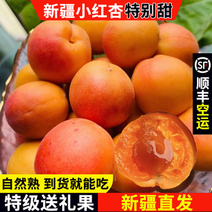 顺丰新疆小红杏阿克苏吊干杏水果新鲜当季孕妇胭脂杏胜轮台小白杏