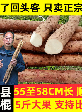 正宗河南省焦作怀典温县垆土铁棍山药5斤怀山药铁杆淮山新鲜囤货