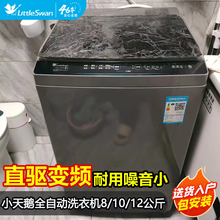 小天鹅12/10/8公斤一级变频全自动家用租房宿舍用波轮洗衣机26DT
