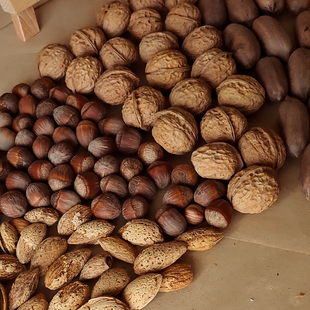 松鼠粮食生坚果套餐主粮核桃榛子巴旦木魔王磨牙食物饲料松鼠零食
