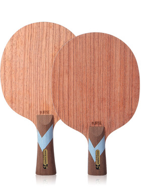 新品Sword世奥得新款长胶专用乒乓球拍长胶狂底板